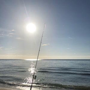 Meet your Posher, Jorge